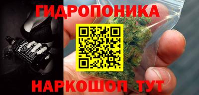 ECSTASY Кузнецк