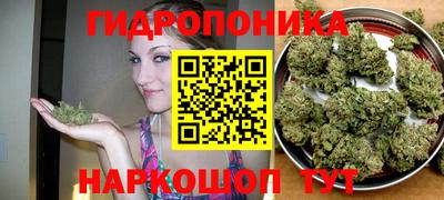 спиды Кудрово