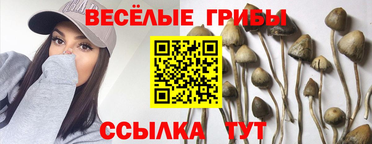 Галлюциногенные грибы GOLDEN TEACHER Курчатов