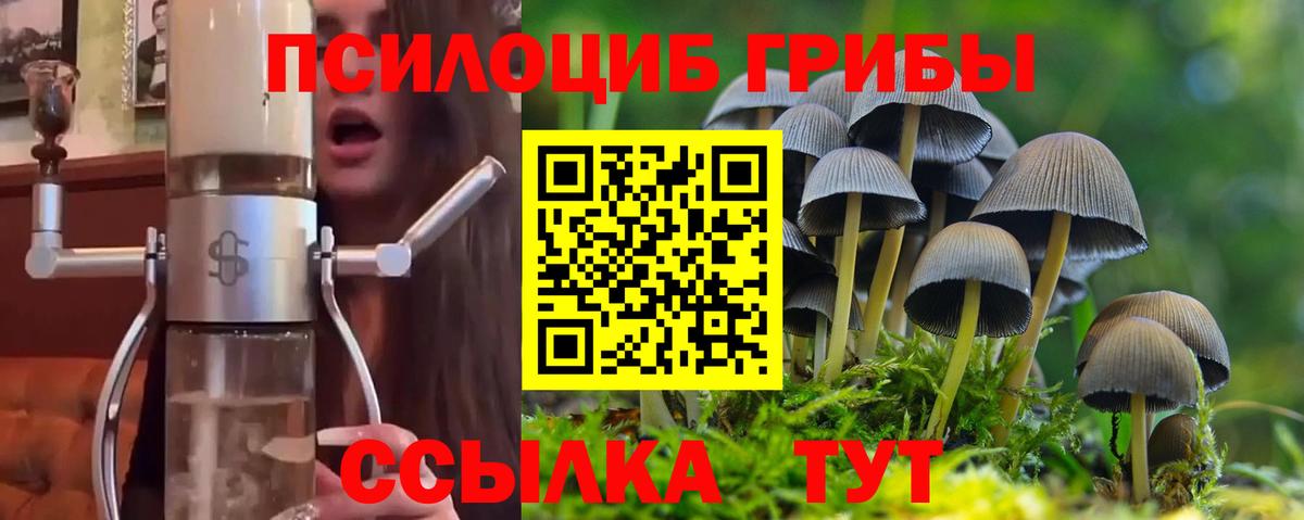 Курчатов  Псилоцибиновые грибы MAGIC MUSHROOMS  Вход с VPN 