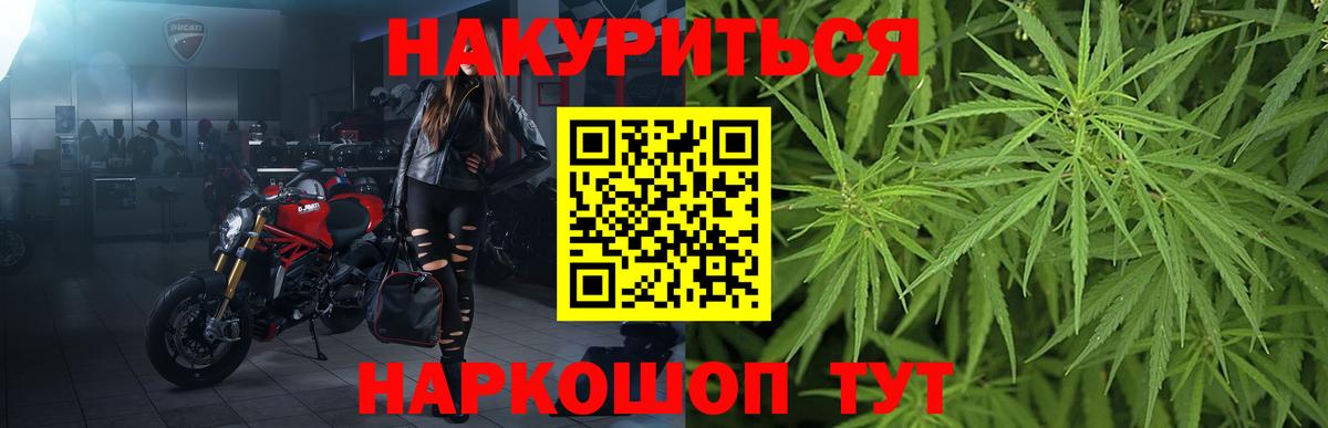 Каннабис конопля Курчатов